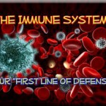 Seven Tips To Boost Your Immune System