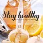 Healthy Holiday Survival Guide Workshop!