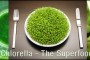 Chlorella – SuperFood, Super Benefits