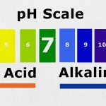 Understanding Acid & Alkaline Balance In The Body