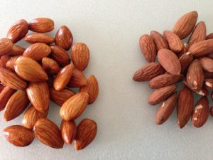 Activate:NonActivated Almonds